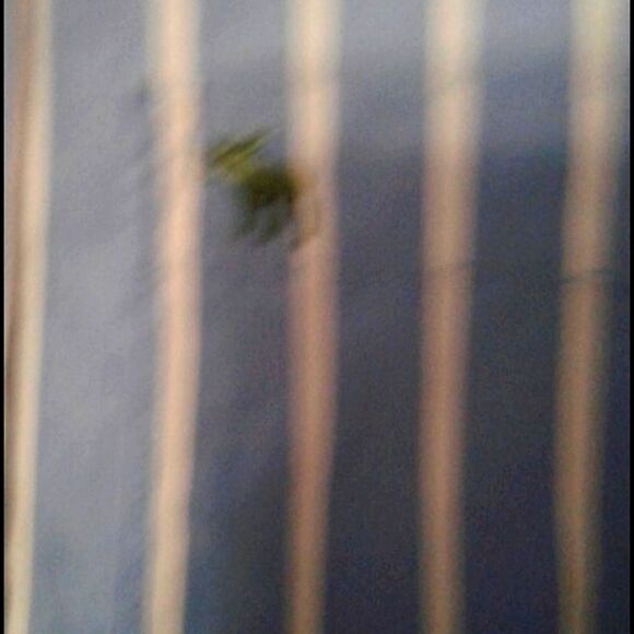 Abercrombie Blue & White Striped Career Office Long Sleeve Button Down Shirt - Picture 6 of 6